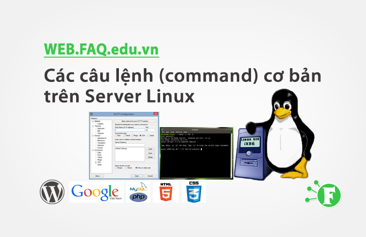 Các câu lệnh (command) cơ bản trên Server Linux